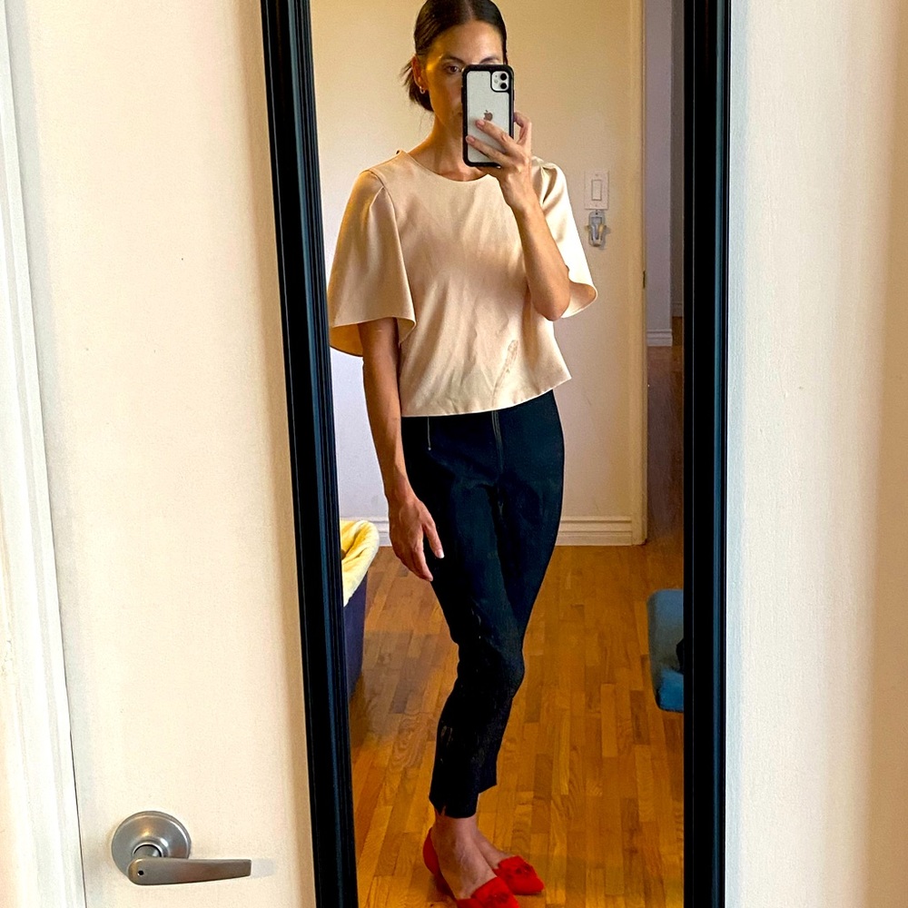 Zara flutter sleeve blouse
